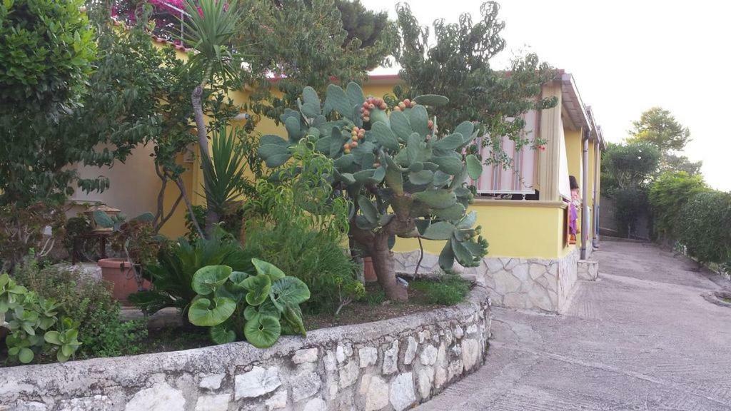 ויאסטה Villa Natura Sea View מראה חיצוני תמונה