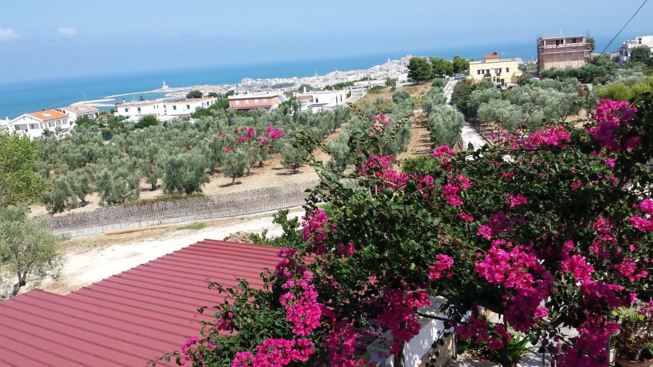 ויאסטה Villa Natura Sea View מראה חיצוני תמונה