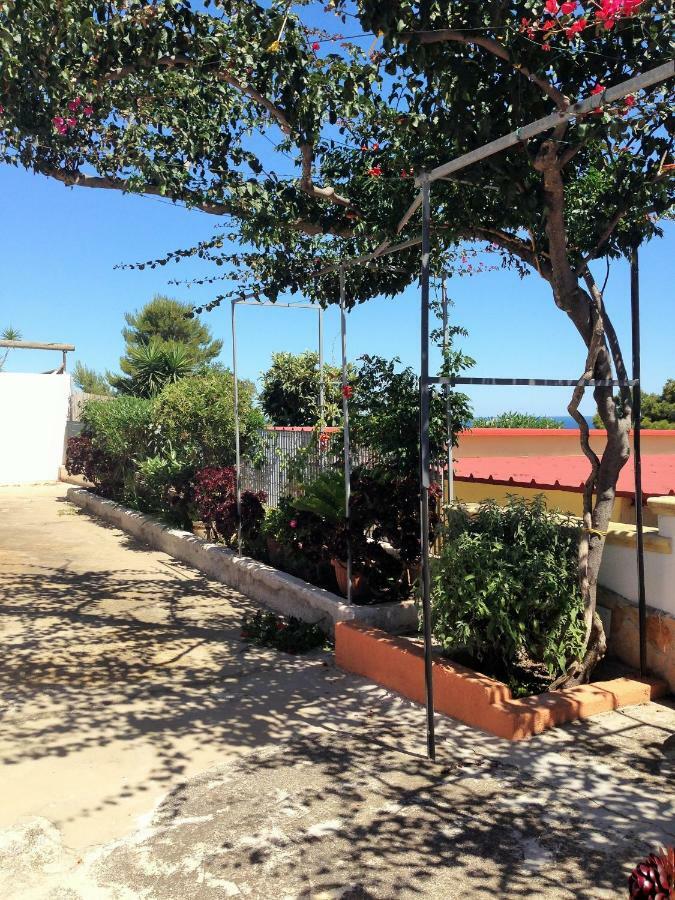 ויאסטה Villa Natura Sea View מראה חיצוני תמונה